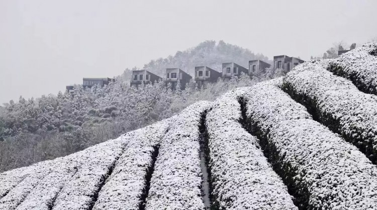 在竹海雪野里泡一场温泉SPA这才是这个冬天最正确的打开方式